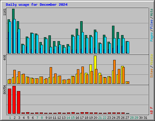 Daily usage for December 2024