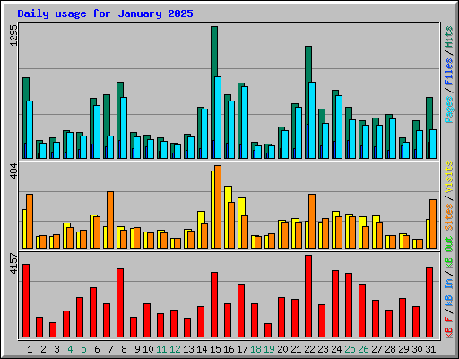 Daily usage for January 2025