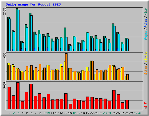 Daily usage for August 2025