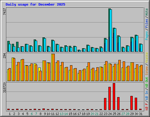 Daily usage for December 2025
