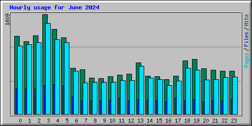 Hourly usage for June 2024