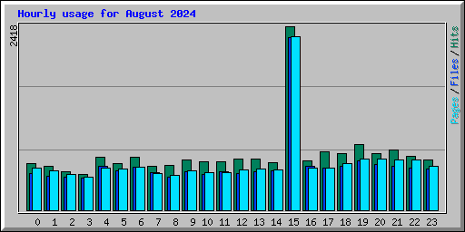 Hourly usage for August 2024