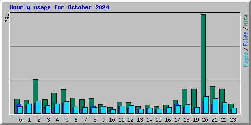 Hourly usage for October 2024