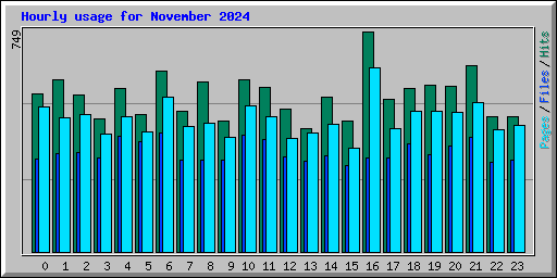 Hourly usage for November 2024