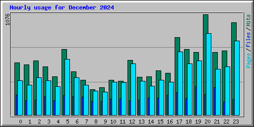 Hourly usage for December 2024