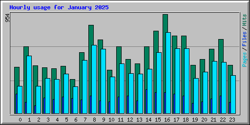 Hourly usage for January 2025