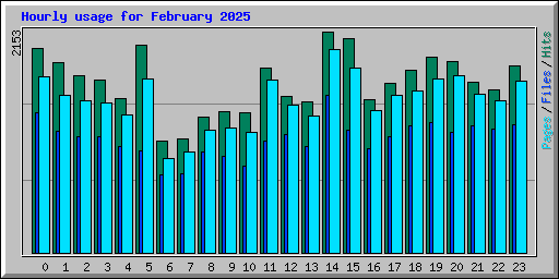 Hourly usage for February 2025