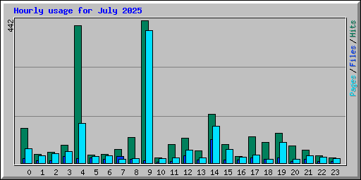 Hourly usage for July 2025