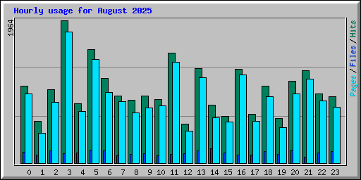 Hourly usage for August 2025