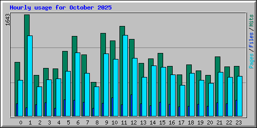 Hourly usage for October 2025