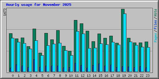 Hourly usage for November 2025