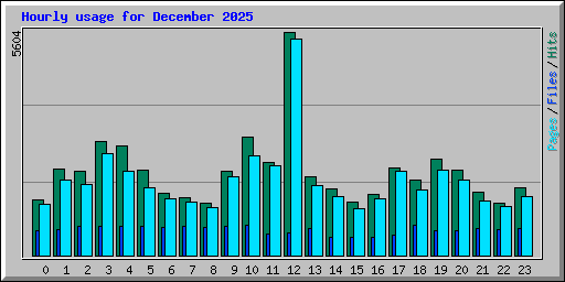 Hourly usage for December 2025