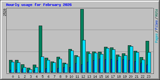 Hourly usage for February 2026