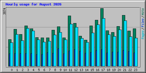 Hourly usage for August 2026