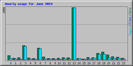 Hourly usage for June 2024