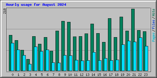 Hourly usage for August 2024