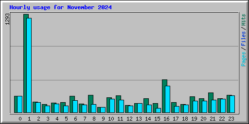 Hourly usage for November 2024