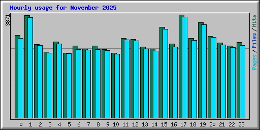 Hourly usage for November 2025