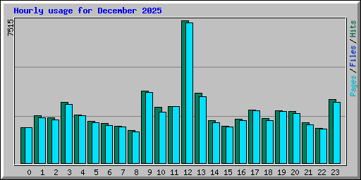 Hourly usage for December 2025