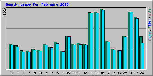 Hourly usage for February 2026